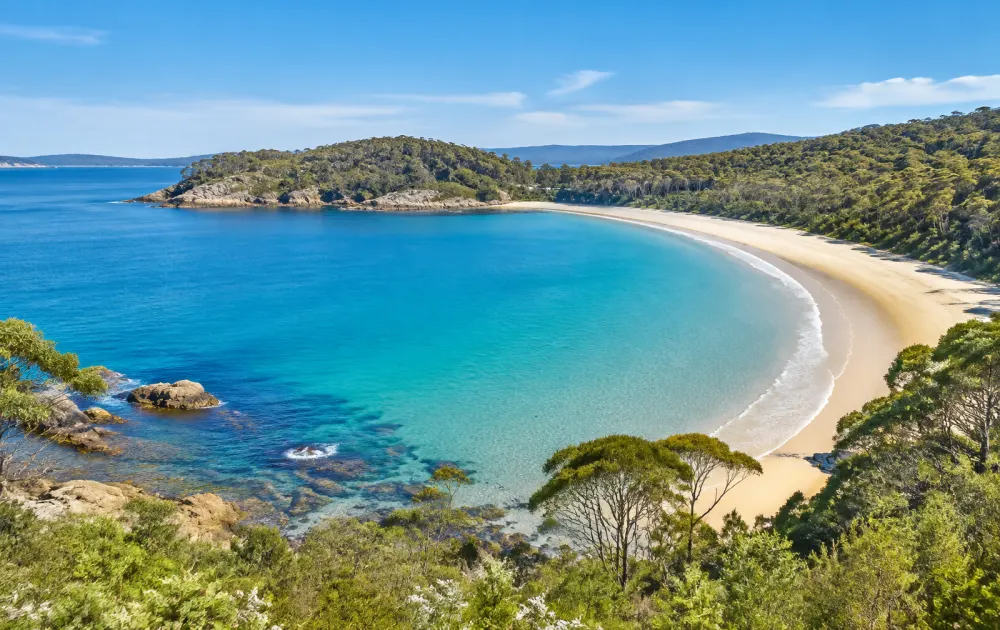 South Coast and surrounds